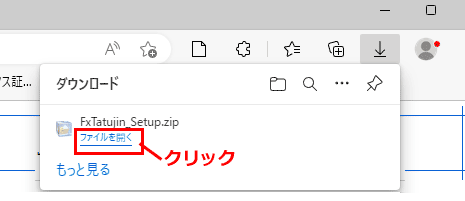 FxTatujin_Setup.zip